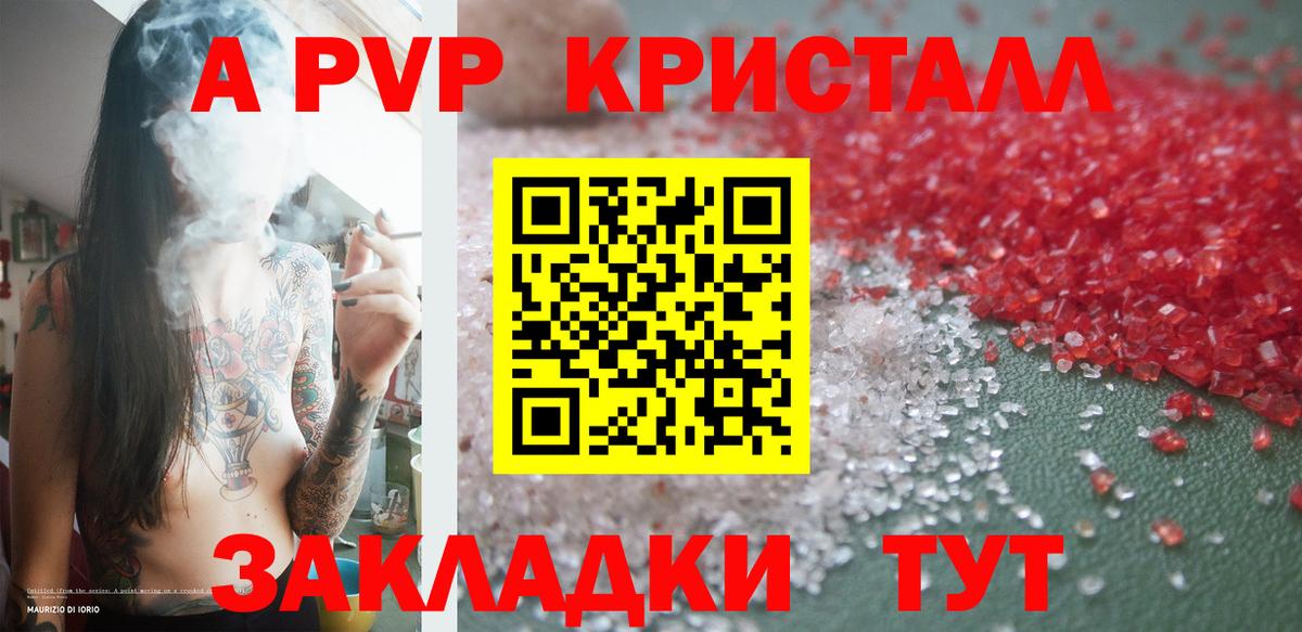Альфа ПВП СК КРИС Ярославль