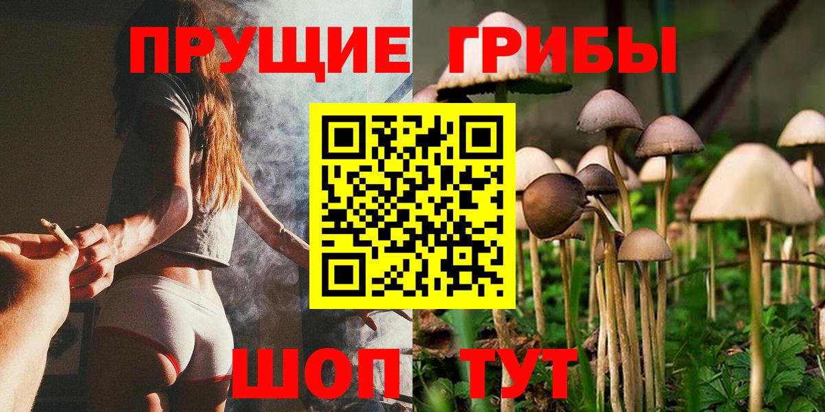 Галлюциногенные грибы мухоморы Ярославль