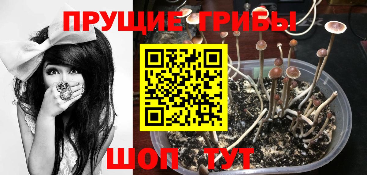 Псилоцибиновые грибы мицелий  Вход с VPN  Ярославль 